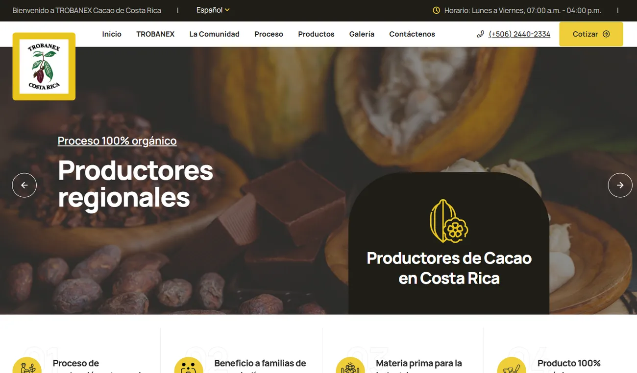 Proyecto de diseño y desarrollo web realizado por TicoDesign